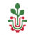 Foto del perfil de Web Manager
